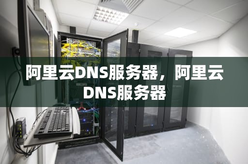 阿里云DNS服务器，阿里云DNS服务器