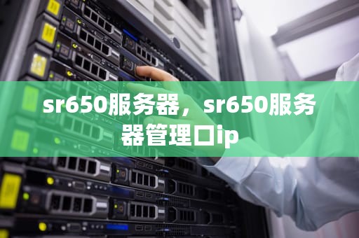 sr650服务器，sr650服务器管理口ip