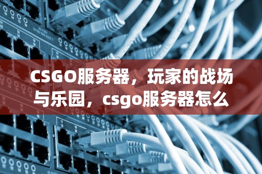 CSGO服务器，玩家的战场与乐园，csgo服务器怎么切换
