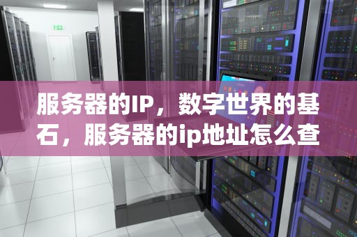服务器的IP，数字世界的基石，服务器的ip地址怎么查询