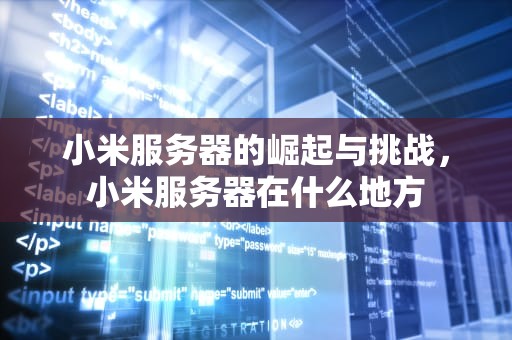 小米服务器的崛起与挑战，小米服务器在什么地方