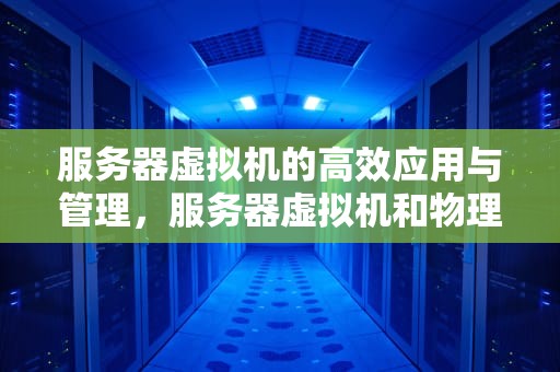 服务器虚拟机的高效应用与管理，服务器虚拟机和物理机的区别