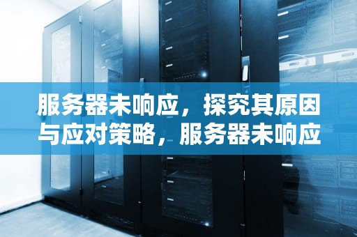 服务器未响应，探究其原因与应对策略，服务器未响应什么意思