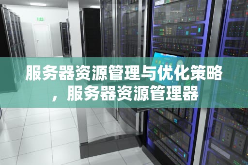 服务器资源管理与优化策略，服务器资源管理器