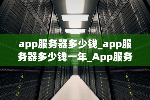 app服务器多少钱_app服务器多少钱一年_App服务器的成本分析与选择