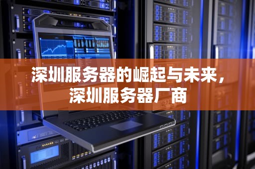 深圳服务器的崛起与未来，深圳服务器厂商