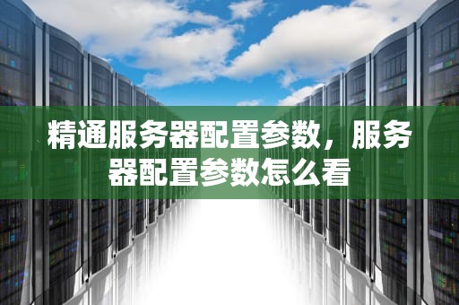 精通服务器配置参数，服务器配置参数怎么看