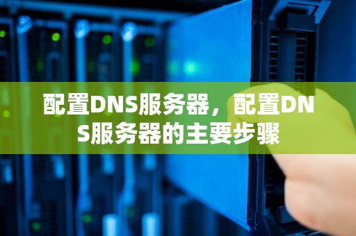 配置DNS服务器，配置DNS服务器的主要步骤