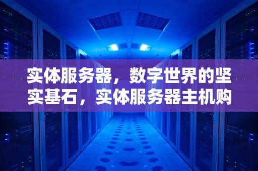 实体服务器，数字世界的坚实基石，实体服务器主机购买