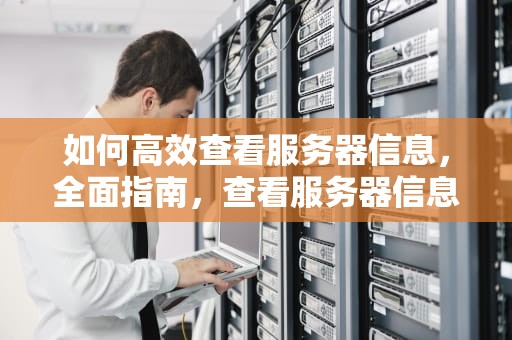 如何高效查看服务器信息，全面指南，查看服务器信息命令