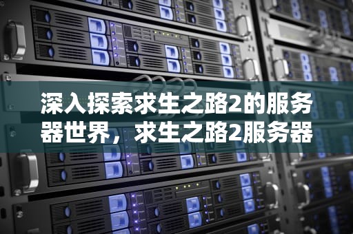 深入探索求生之路2的服务器世界，求生之路2服务器强制文件一致性