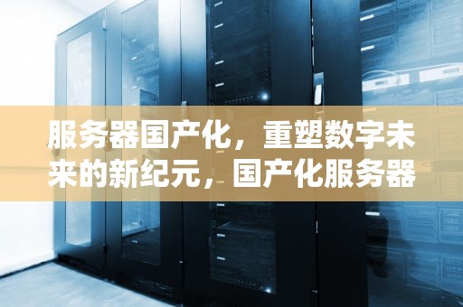 服务器国产化，重塑数字未来的新纪元，国产化服务器系统