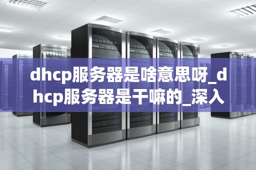dhcp服务器是啥意思呀_dhcp服务器是干嘛的_深入理解DHCP服务器