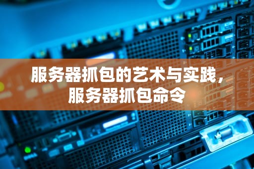 服务器抓包的艺术与实践，服务器抓包命令