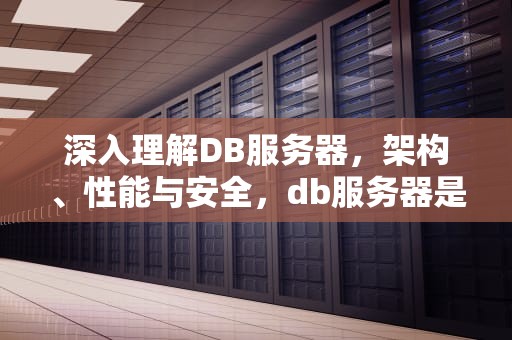 深入理解DB服务器，架构、性能与安全，db服务器是什么