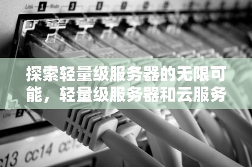 探索轻量级服务器的无限可能，轻量级服务器和云服务器的区别