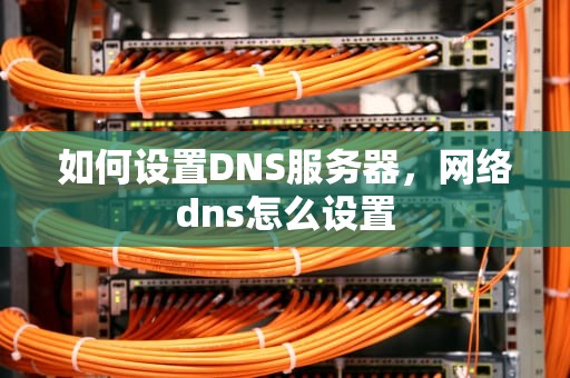 如何设置DNS服务器，网络dns怎么设置