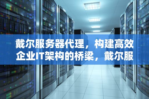 戴尔服务器代理，构建高效企业IT架构的桥梁，戴尔服务器代理等级
