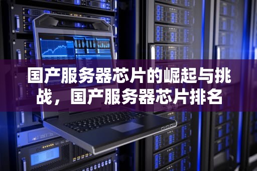 国产服务器芯片的崛起与挑战，国产服务器芯片排名
