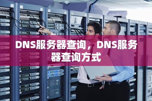 DNS服务器查询，DNS服务器查询方式