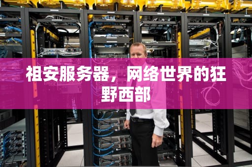 祖安服务器，网络世界的狂野西部