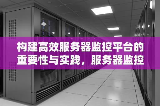 构建高效服务器监控平台的重要性与实践，服务器监控平台工具