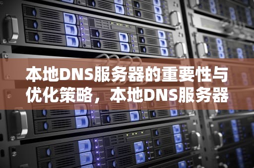 本地DNS服务器的重要性与优化策略，本地DNS服务器在哪里