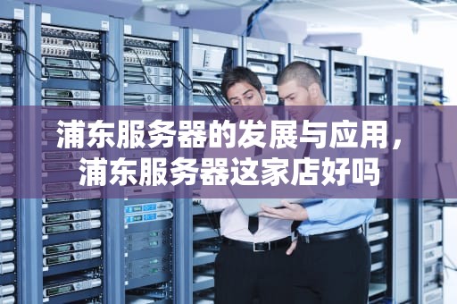 浦东服务器的发展与应用，浦东服务器这家店好吗
