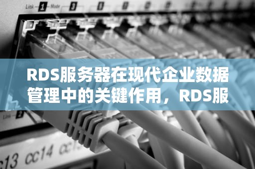 RDS服务器在现代企业数据管理中的关键作用，RDS服务器是什么意思