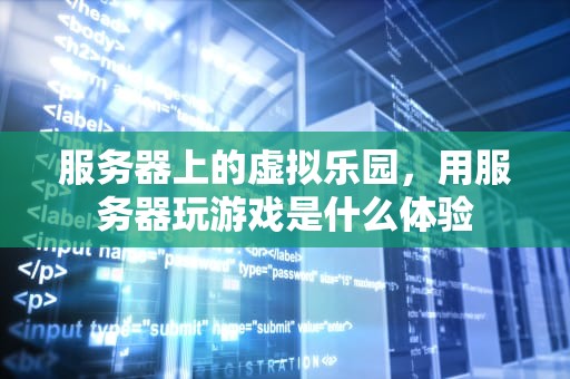 服务器上的虚拟乐园，用服务器玩游戏是什么体验
