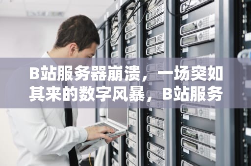 B站服务器崩溃，一场突如其来的数字风暴，B站服务器崩溃原因
