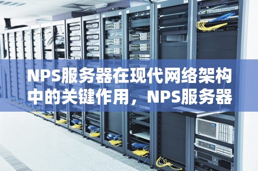 NPS服务器在现代网络架构中的关键作用，NPS服务器搭建