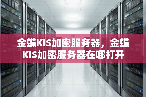 金蝶KIS加密服务器，金蝶KIS加密服务器在哪打开