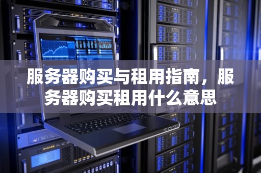服务器购买与租用指南，服务器购买租用什么意思