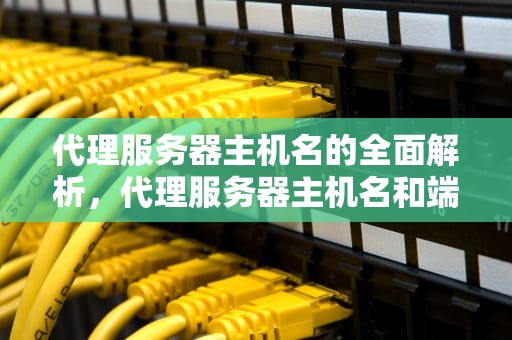 代理服务器主机名的全面解析，代理服务器主机名和端口填什么