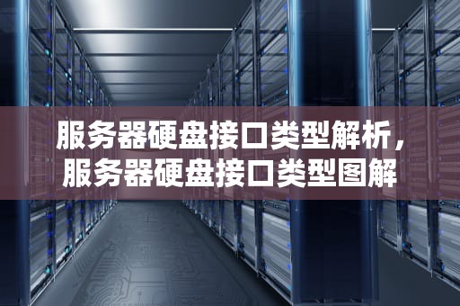 服务器硬盘接口类型解析，服务器硬盘接口类型图解