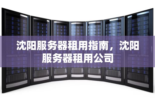 沈阳服务器租用指南，沈阳服务器租用公司