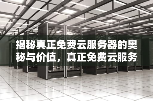 揭秘真正免费云服务器的奥秘与价值，真正免费云服务器有哪些