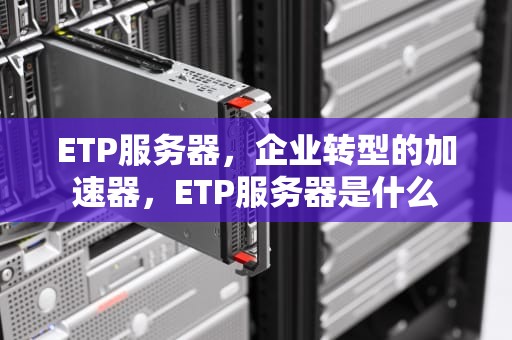 ETP服务器，企业转型的加速器，ETP服务器是什么