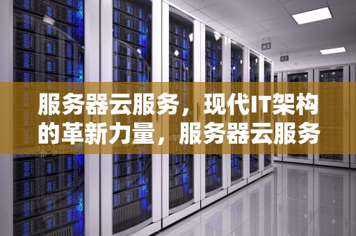 服务器云服务，现代IT架构的革新力量，服务器云服务价格
