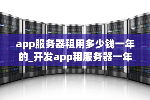 app服务器租用多少钱一年的_开发app租服务器一年多少钱_App服务器租用一年的费用分析