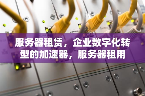 服务器租赁，企业数字化转型的加速器，服务器租用
