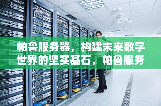 帕鲁服务器，构建未来数字世界的坚实基石，帕鲁服务器多少钱