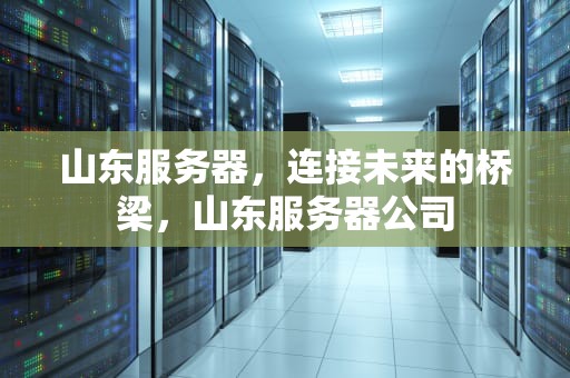 山东服务器，连接未来的桥梁，山东服务器公司