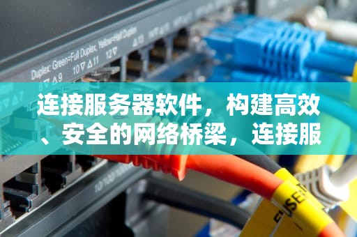 连接服务器软件，构建高效、安全的网络桥梁，连接服务器软件有哪些
