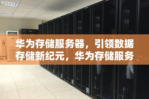 华为存储服务器，引领数据存储新纪元，华为存储服务器5110 v5 管理口