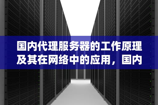 国内代理服务器的工作原理及其在网络中的应用，国内代理服务器ip地址