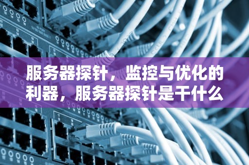 服务器探针，监控与优化的利器，服务器探针是干什么用的
