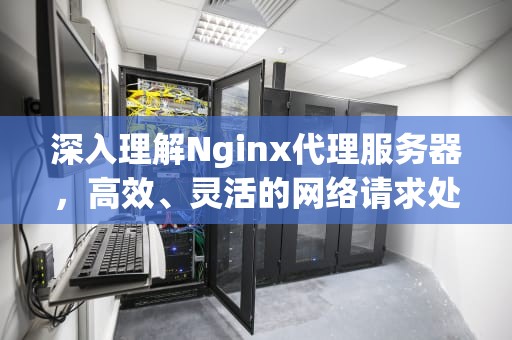 深入理解Nginx代理服务器，高效、灵活的网络请求处理专家，NGINX代理服务器端口号多少