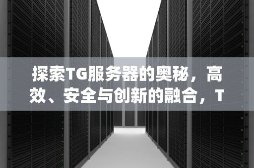 探索TG服务器的奥秘，高效、安全与创新的融合，Tg服务器在哪里